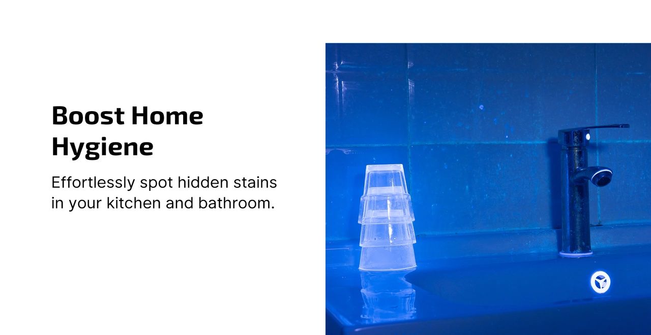 Using UV light to detect household mold and pet stains
