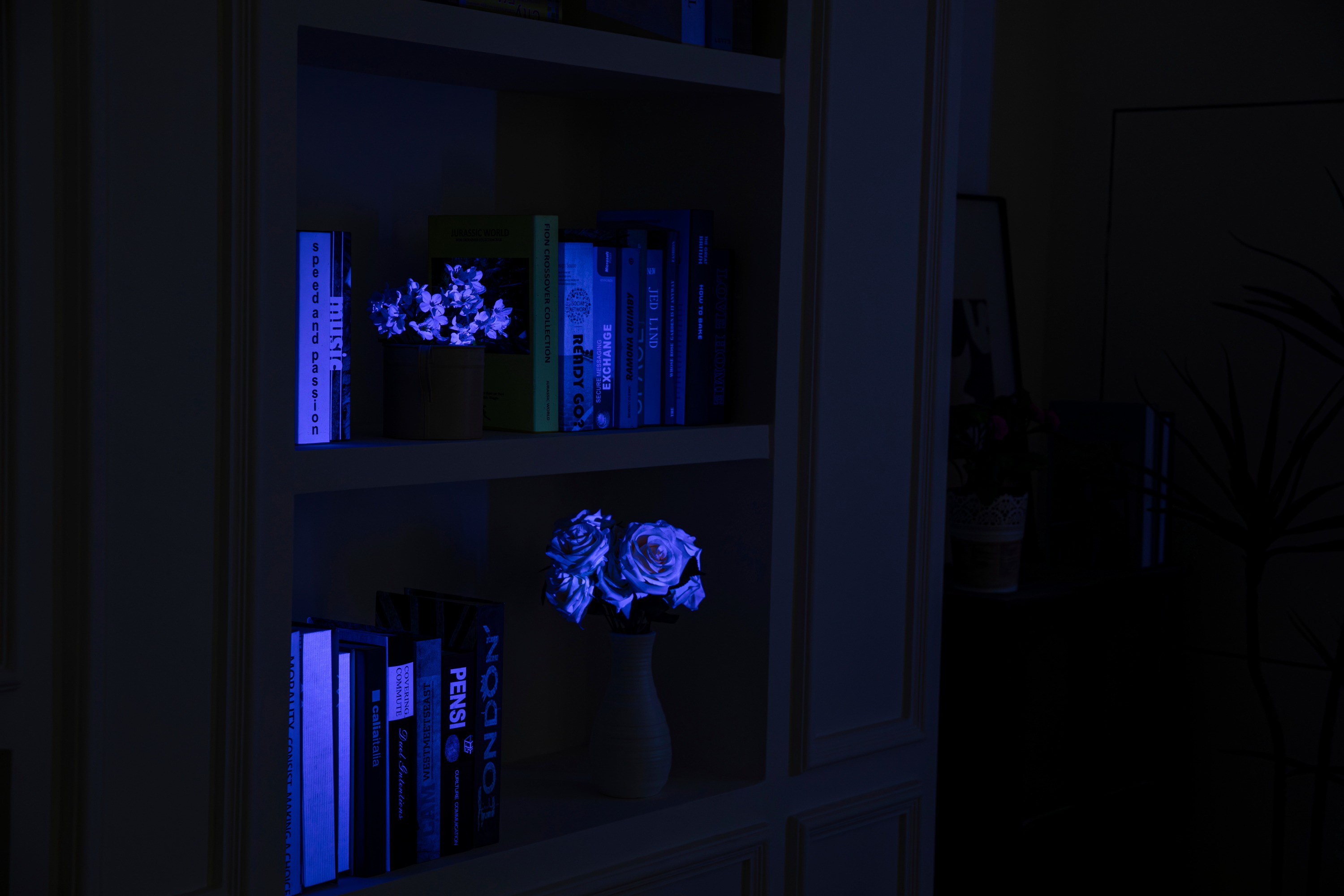 UV-Licht Fluoreszenz-Anwendung