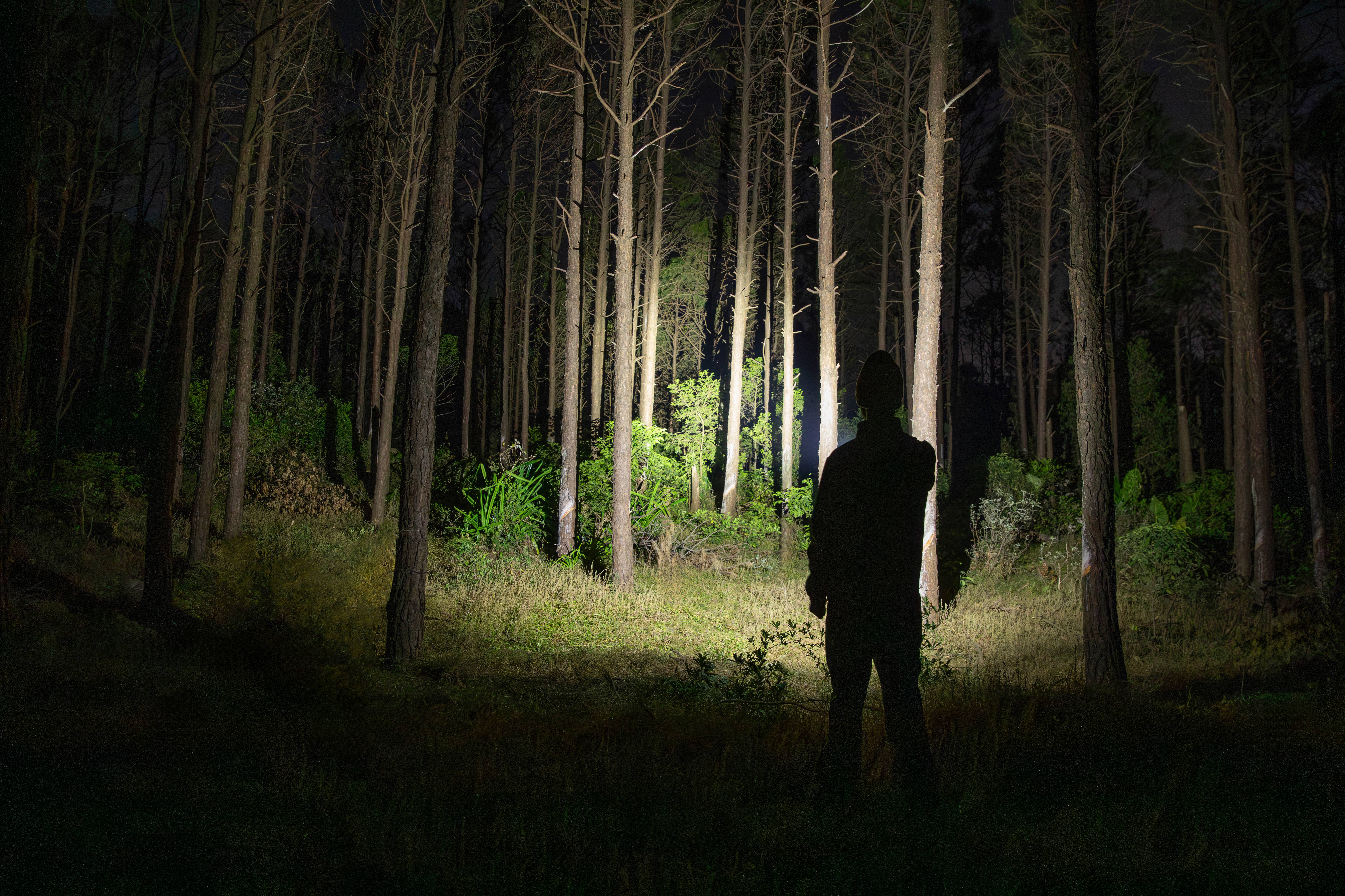 Silueta de un hombre usando una linterna potente para iluminar un bosque de pinos por la noche, ideal para aventuras de senderismo y camping nocturno.