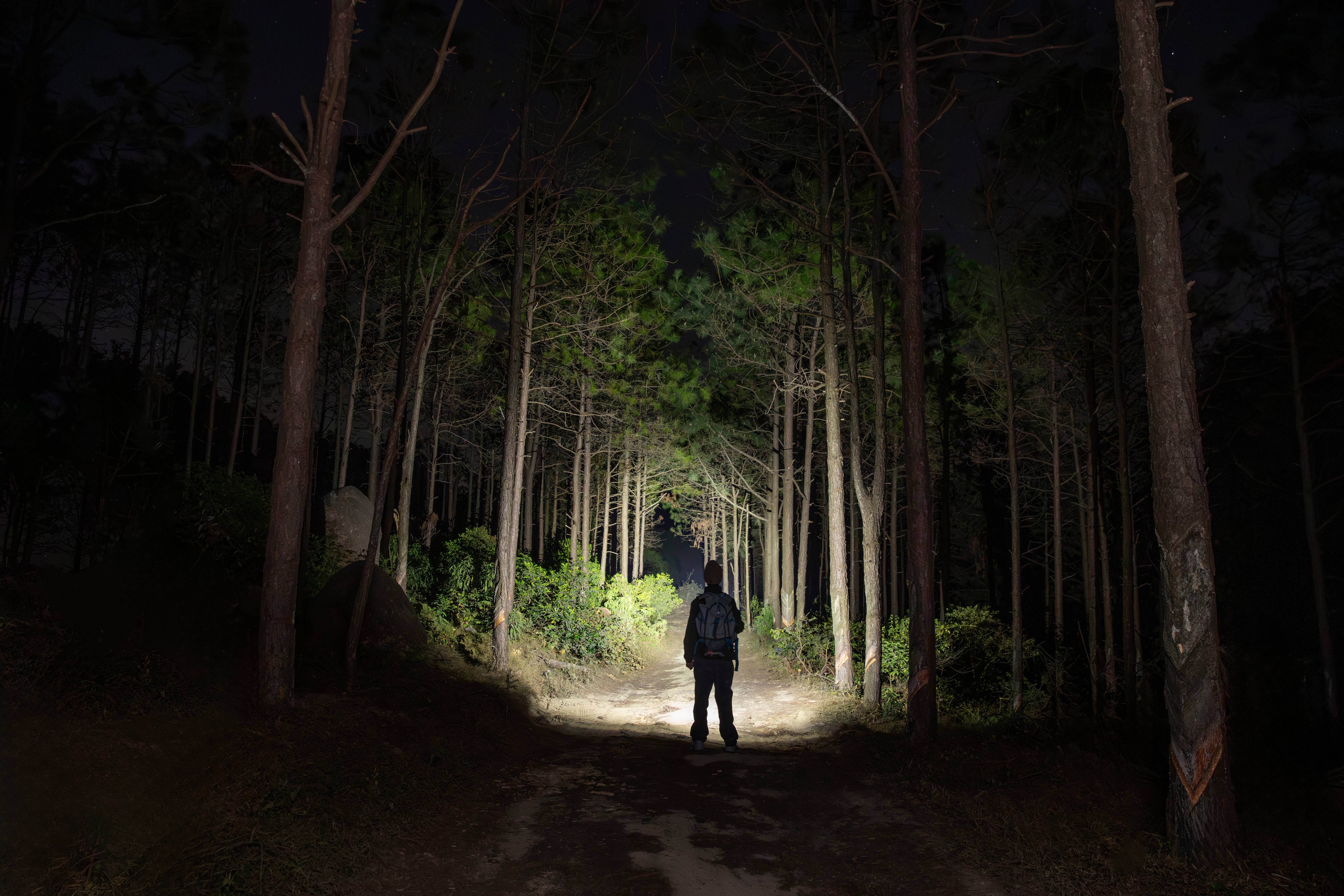 Flashlight illuminating a dark forest trail