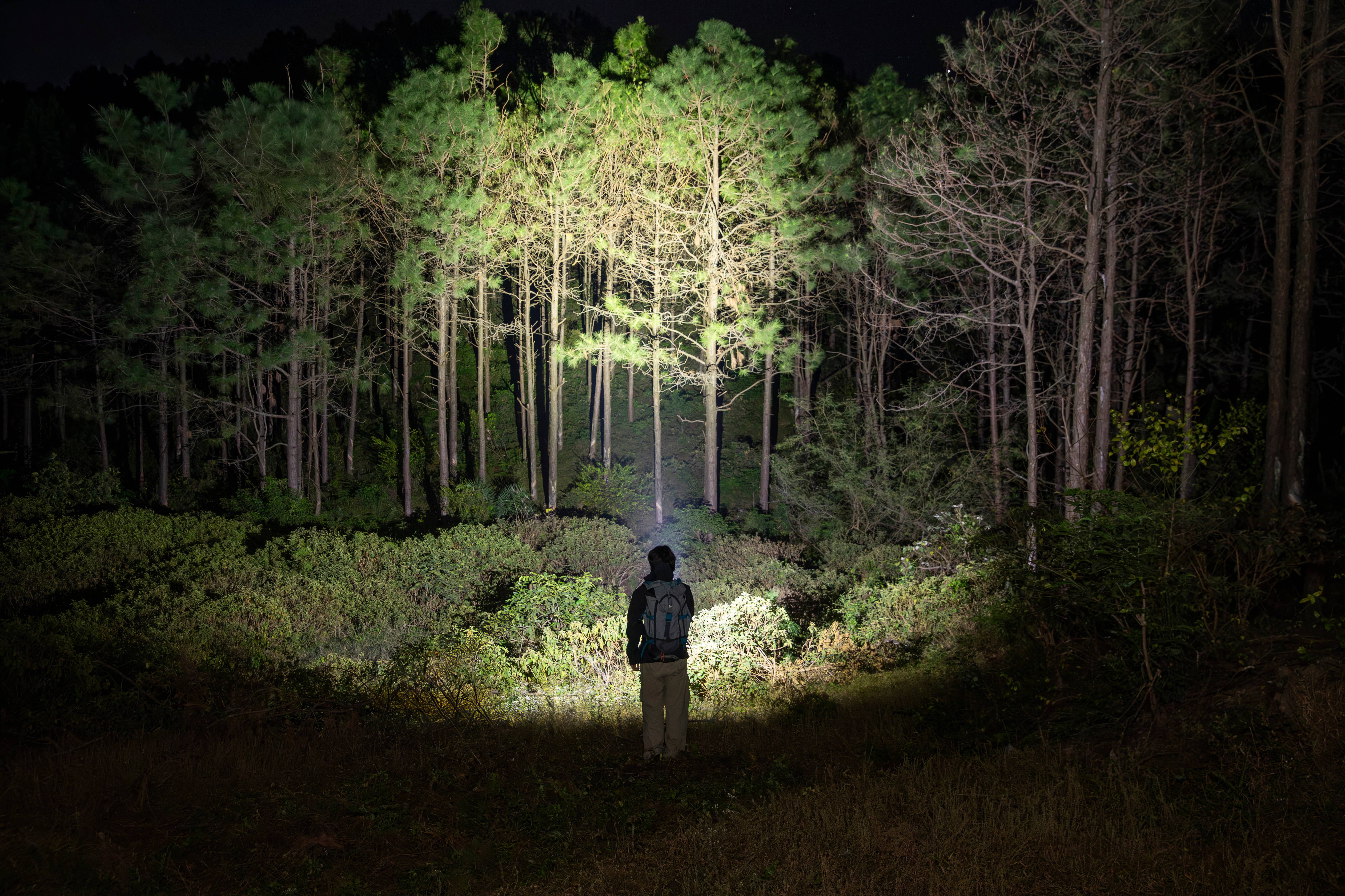 Leistungsstarke LED-Taschenlampe beleuchtet dichten Wald bei einer Nachtwanderung. Ein Wanderer mit Rucksack erkundet die Natur bei Dunkelheit mit einem hellen Lichtstrahl.