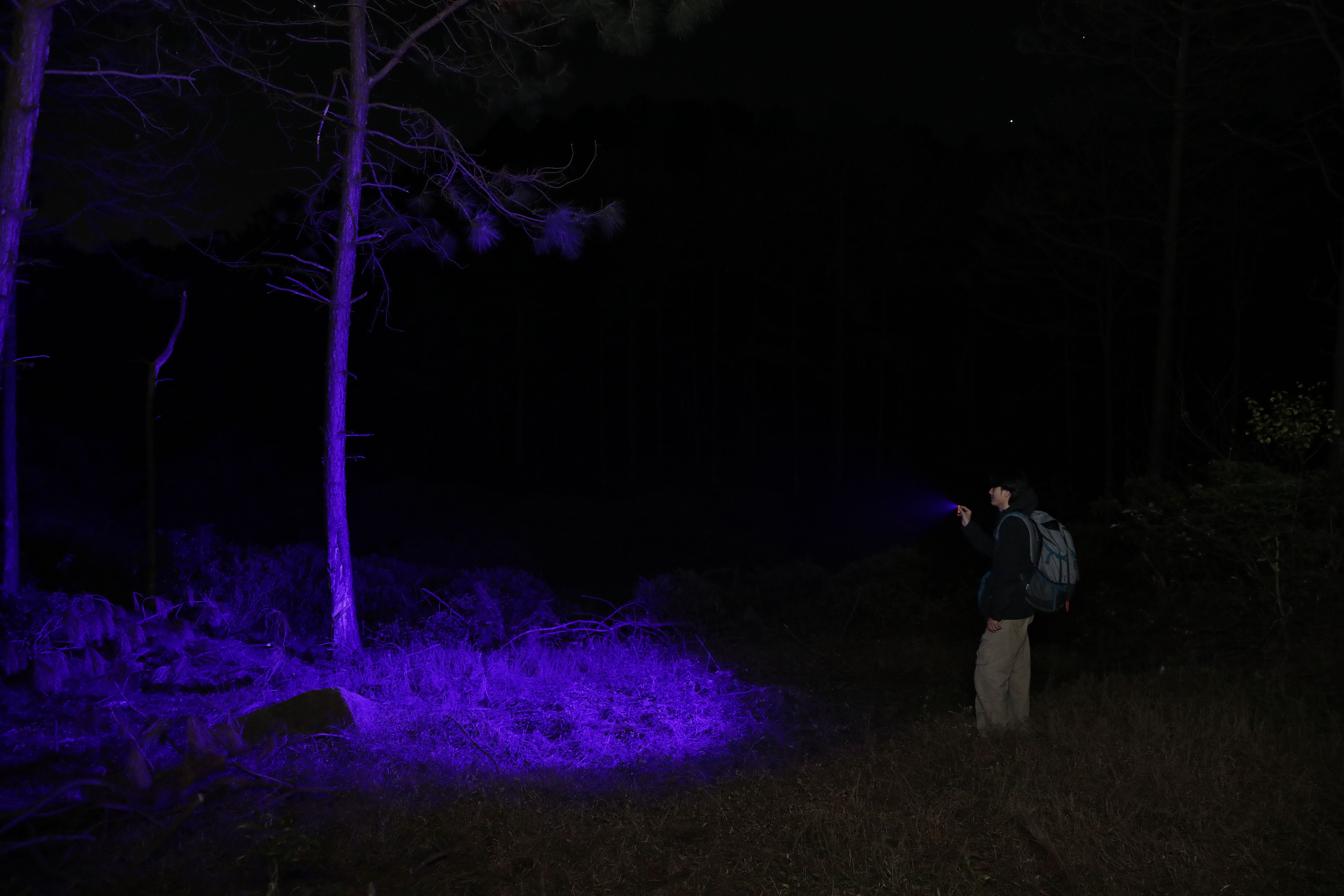 Hiker using a handheld UV blacklight flashlight during a night trek