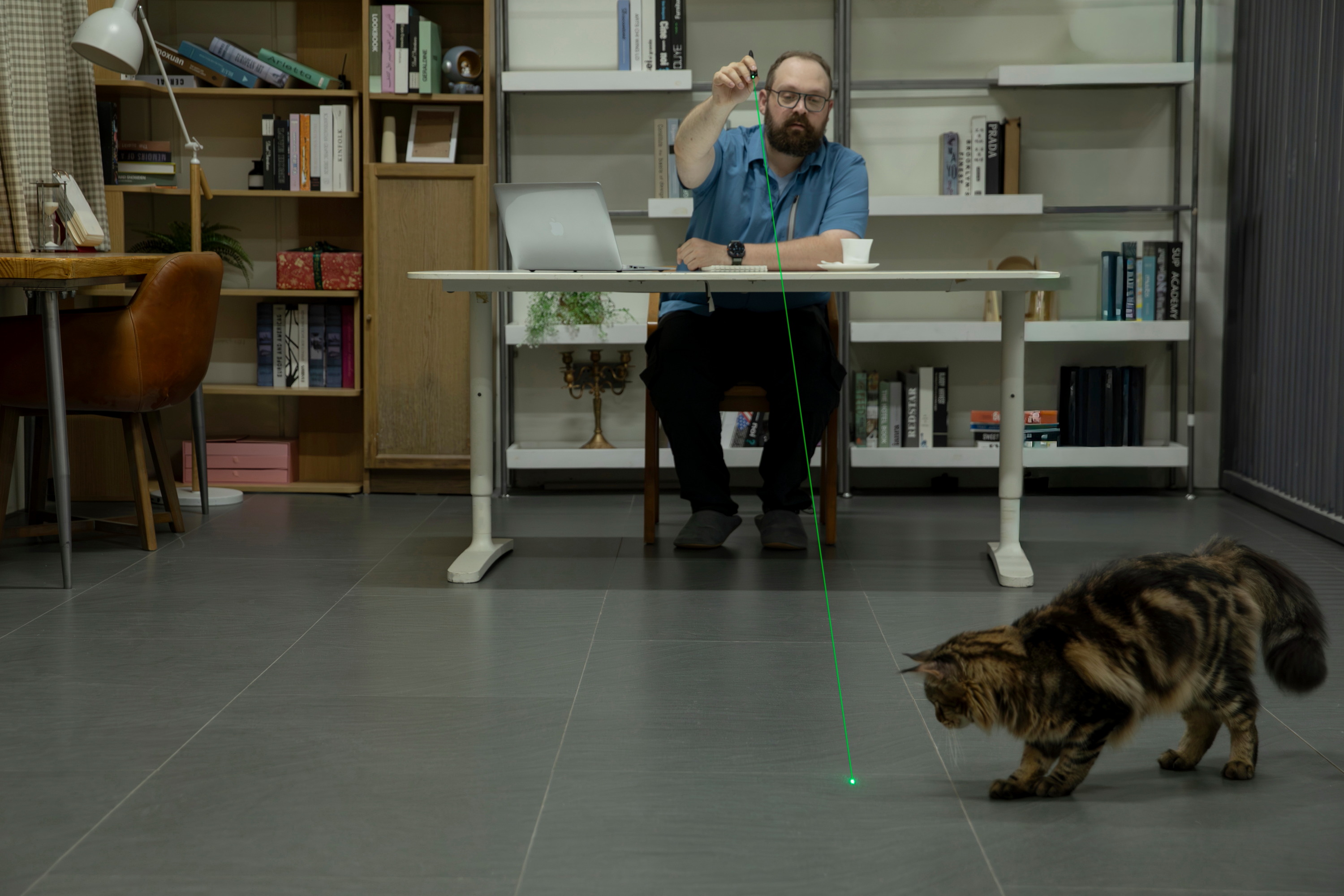 Official product shot of a man playing with a cat using the Olight pen's green laser pointer.
