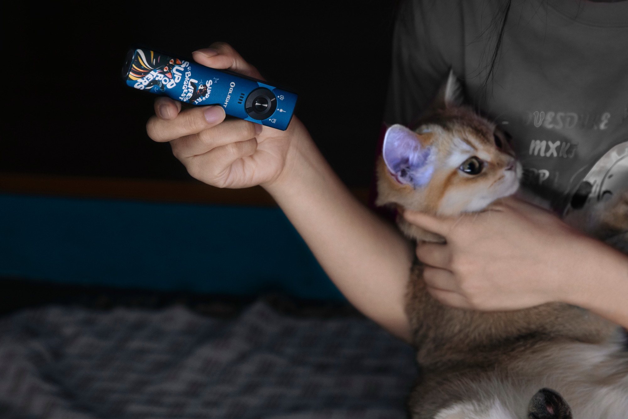 손전등으로 고양이를 비추는 모습