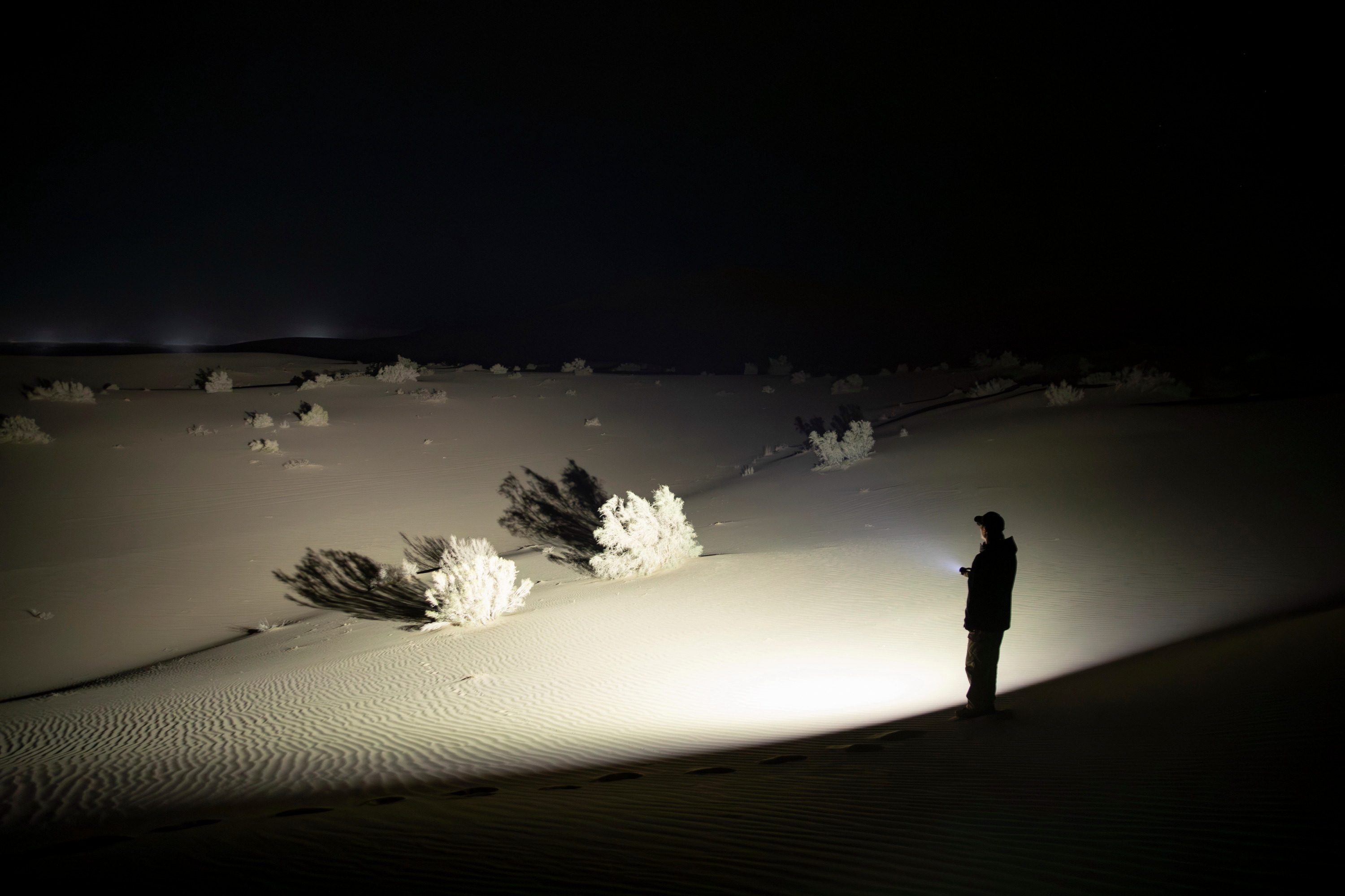 夜の砂漠を懐中電灯で照らす人物