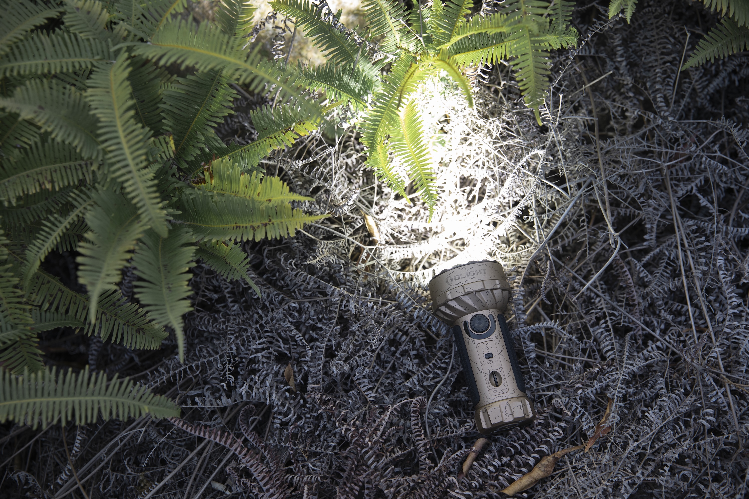 Olight powerful desert camouflage tactical flashlight illuminating lush green and dry ferns in a natural outdoor environment.