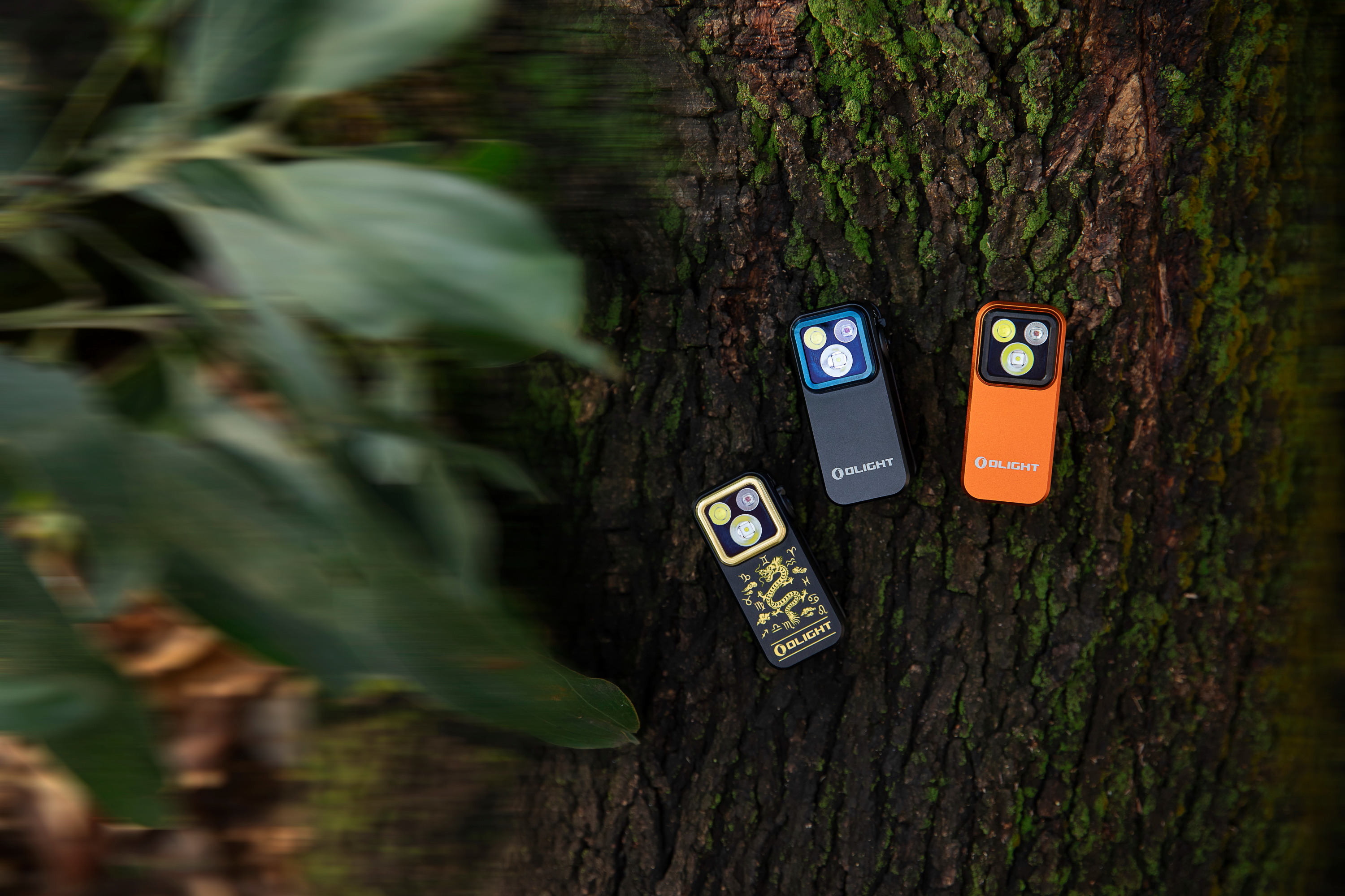 Three Olight Arkfeld flat EDC flashlights, including orange and Year of the Dragon limited editions, displayed on a mossy tree trunk for outdoor adventure and everyday carry gear.