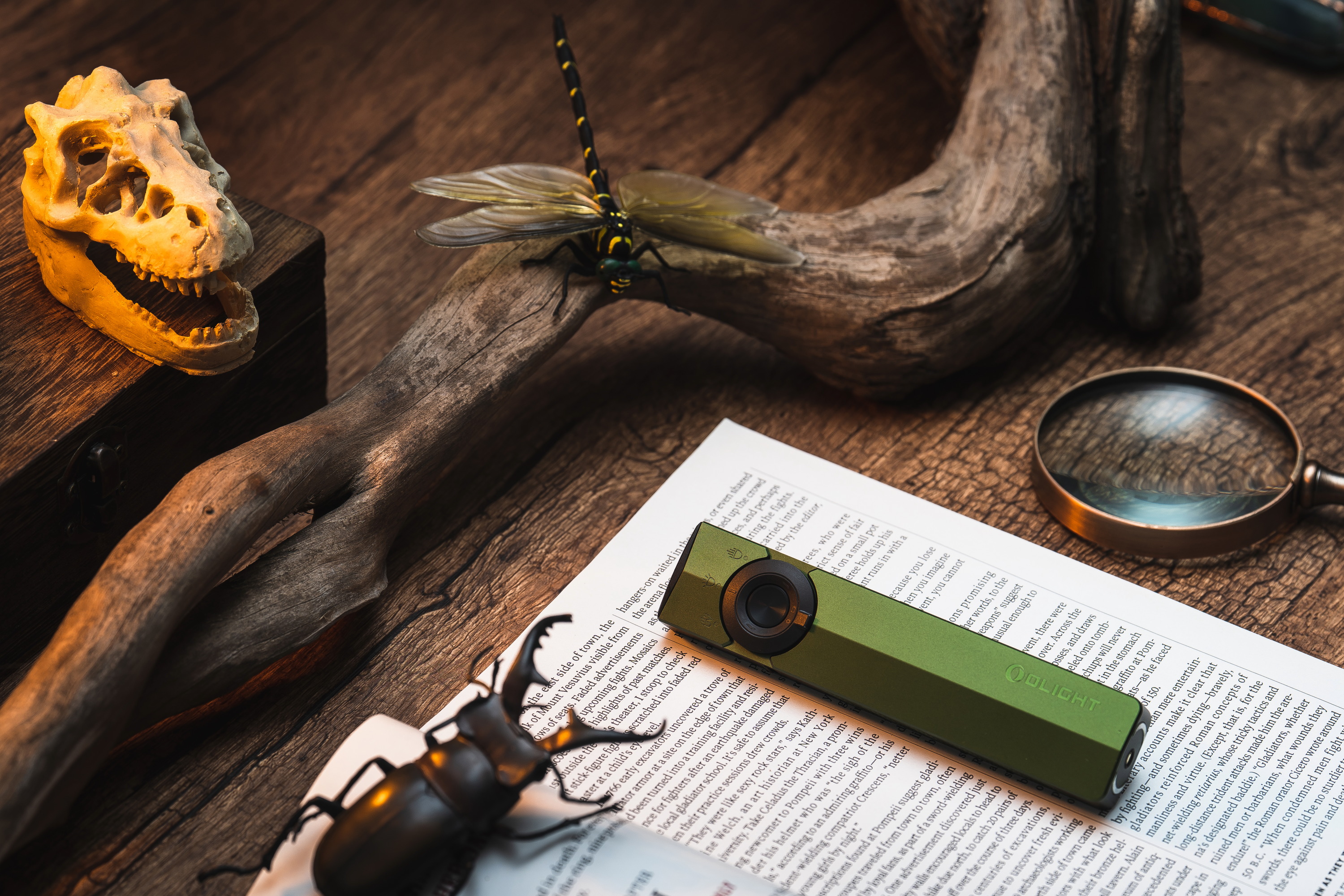 Green Olight flat flashlight on an open book, surrounded by a magnifying glass, dinosaur skull, and insect specimens on a rustic wooden desk. High-quality EDC lighting tool for adventurous research and exploration.