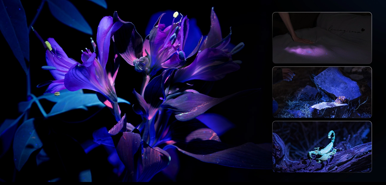 UV-Taschenlampe Anwendung: Fleckenerkennung auf Textilien und Mineralien-Fluoreszenz im Dunkeln.