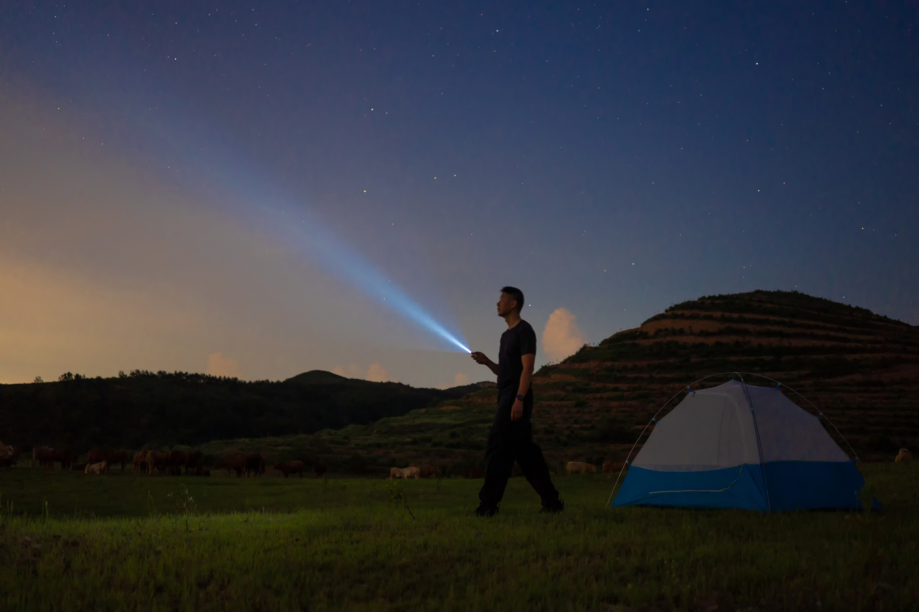 Man at campsite under starry night sky