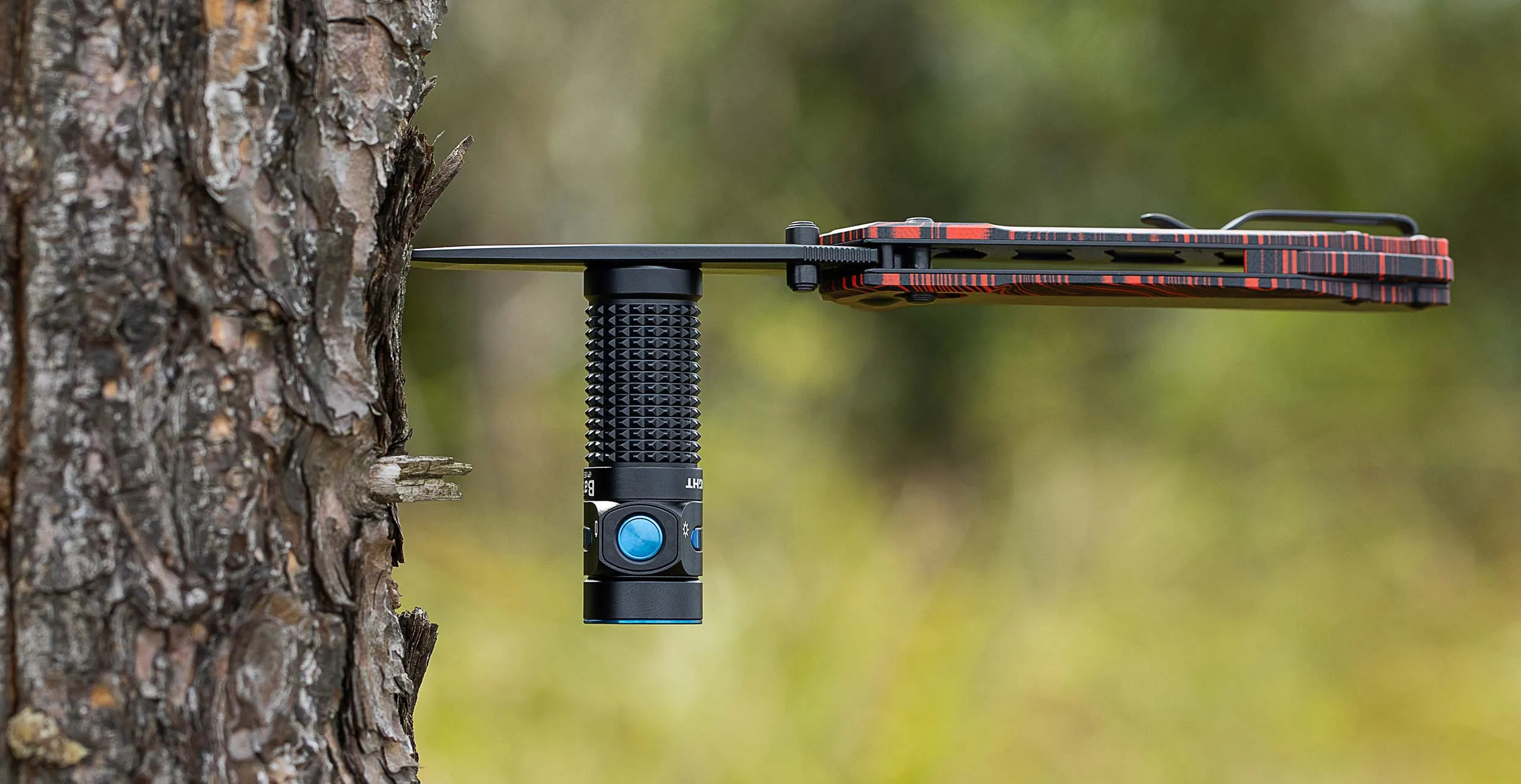 Mini lampe torche Olight noire fix&eacute;e par sa base magn&eacute;tique sur la lame d'un couteau pliant plant&eacute; dans un arbre en for&ecirc;t. Mat&eacute;riel EDC compact et tactique pour le camping et la survie en ext&eacute;rieur.