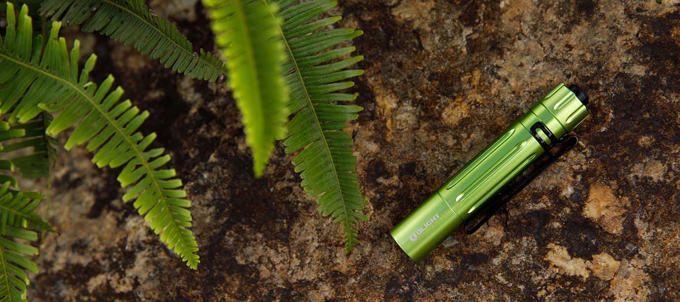 Lampe de poche EDC Olight verte compacte pos&eacute;e sur un rocher &agrave; c&ocirc;t&eacute; de feuilles de foug&egrave;re en pleine nature