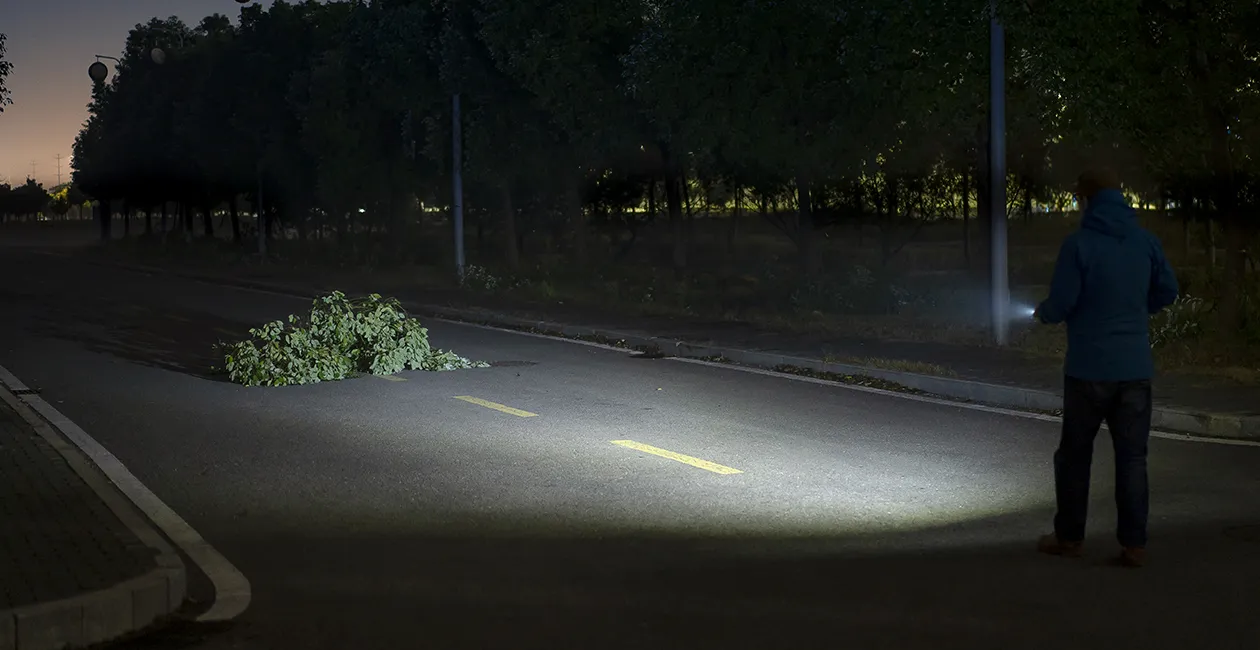 Hombre usando una linterna potente para iluminar una rama ca&iacute;da en medio de una carretera oscura de noche.