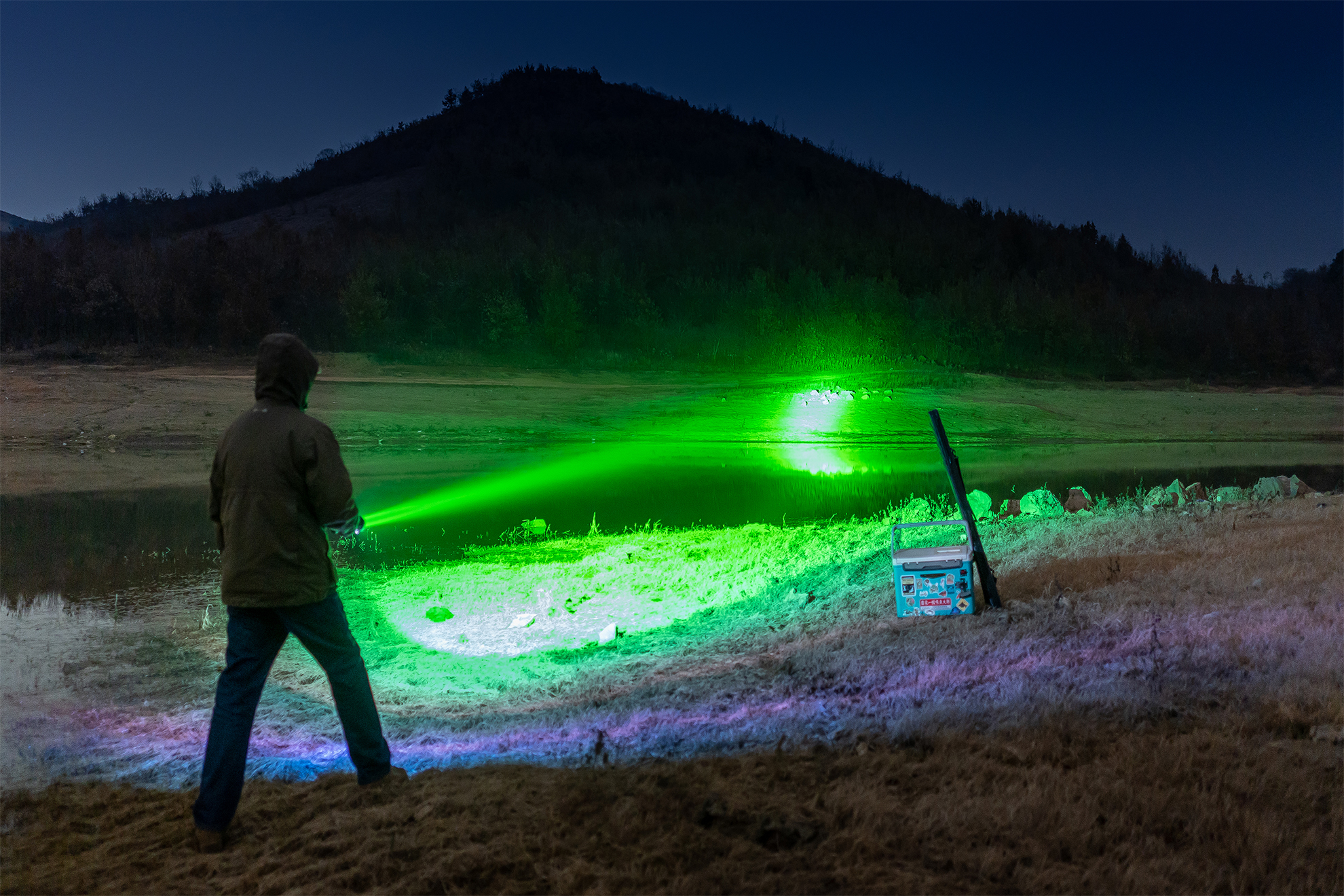 Man using a green laser pointer to illuminate geese by a lake at night