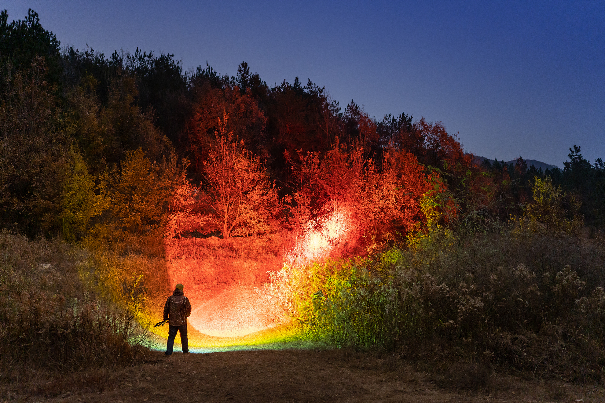 Man shining bright colorful lights onto trees at night in a forest