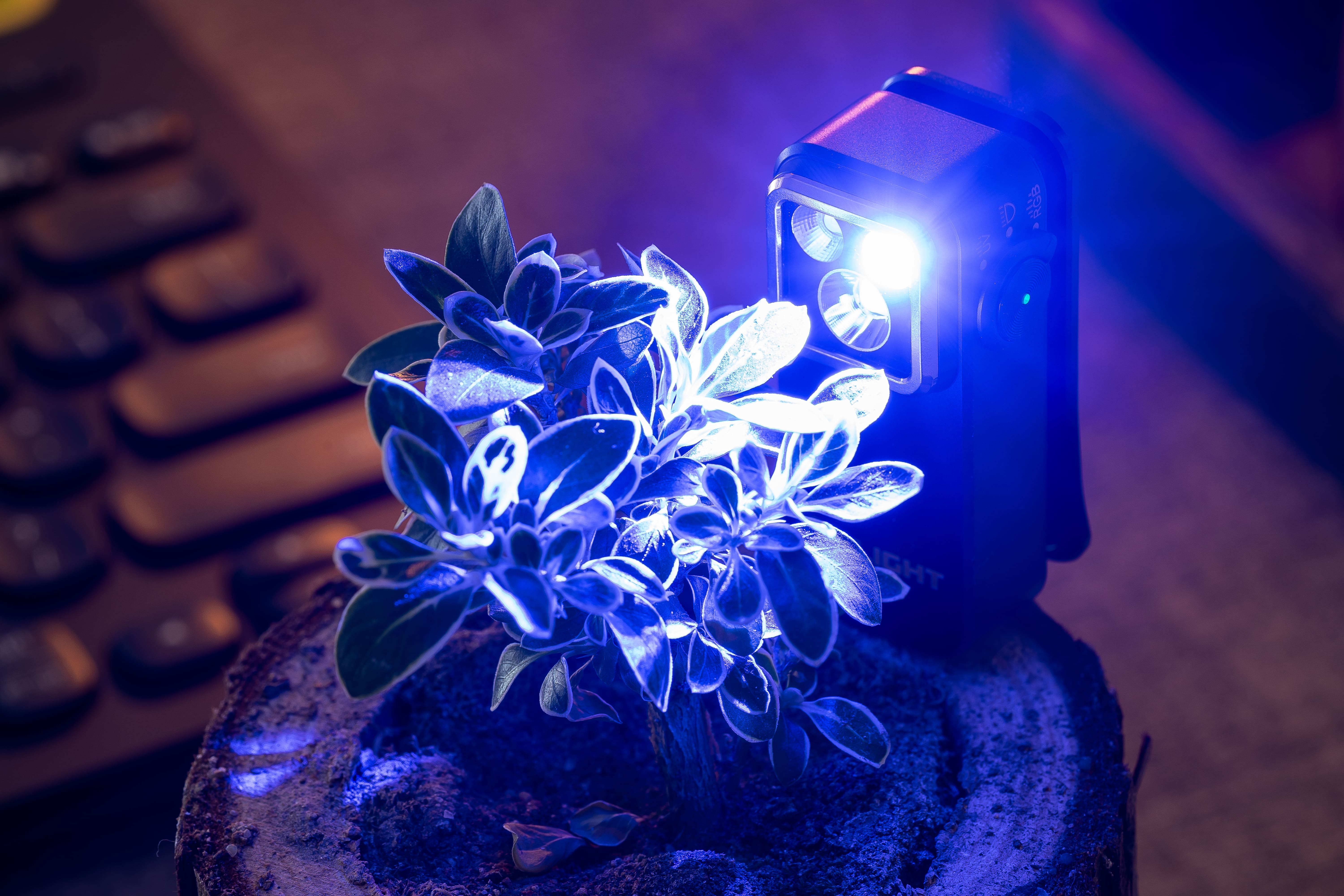 Oclip Pro S UV Light Comparison