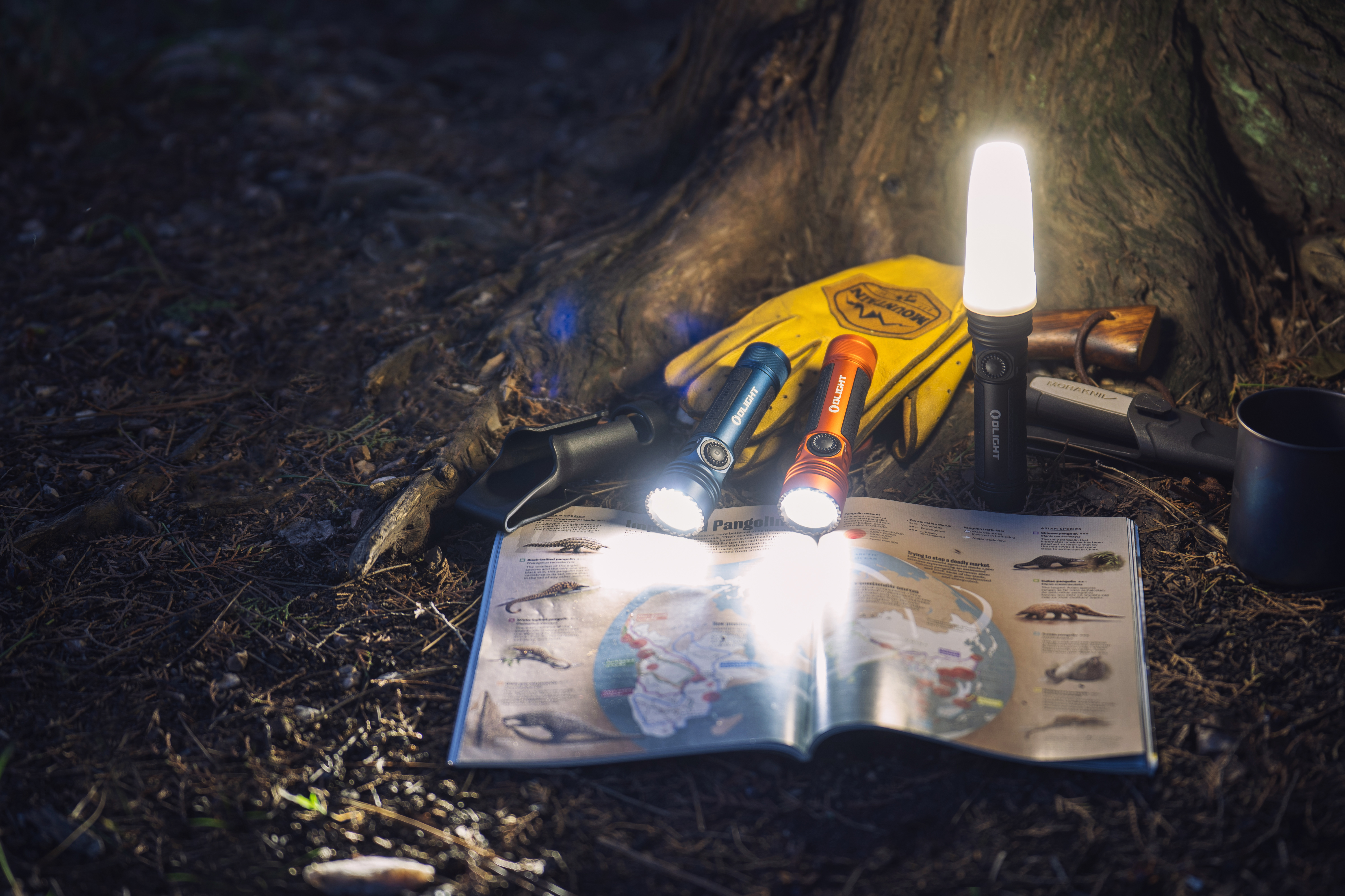 Olight製LED懐中電灯、キャンプ用ランタン、黄色の手袋、モリナイフ、地図、カップが木の下に置かれた夜のアウトドアシーン。